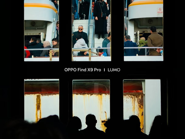 隔窗见人间