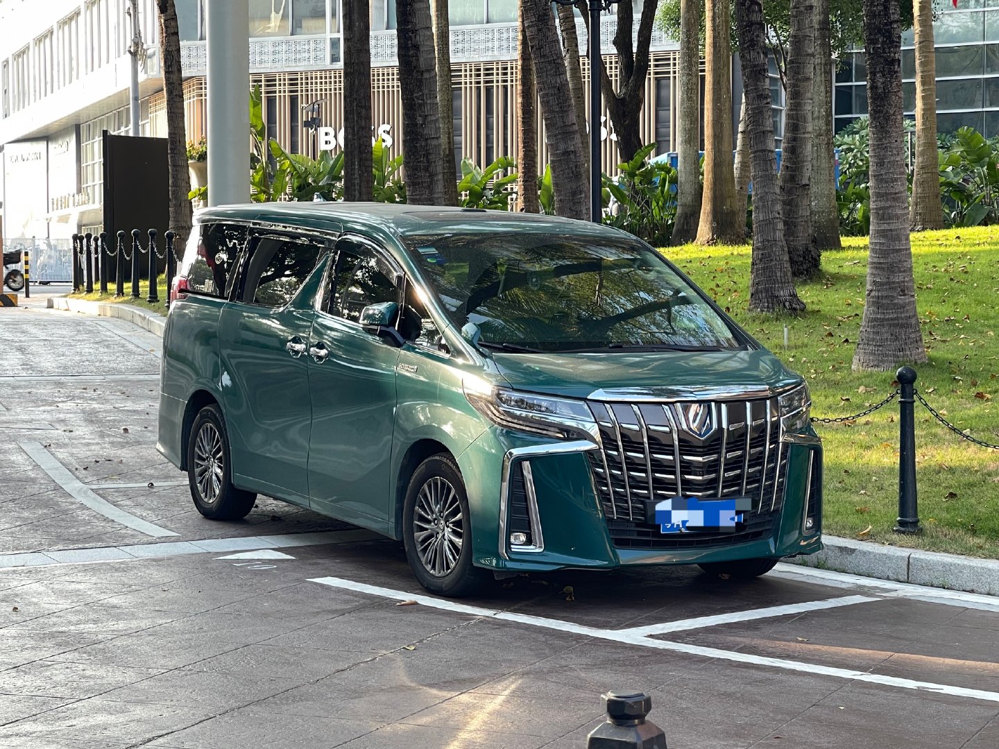 这个颜色的埃尔法头一回见#大v聊车# ​