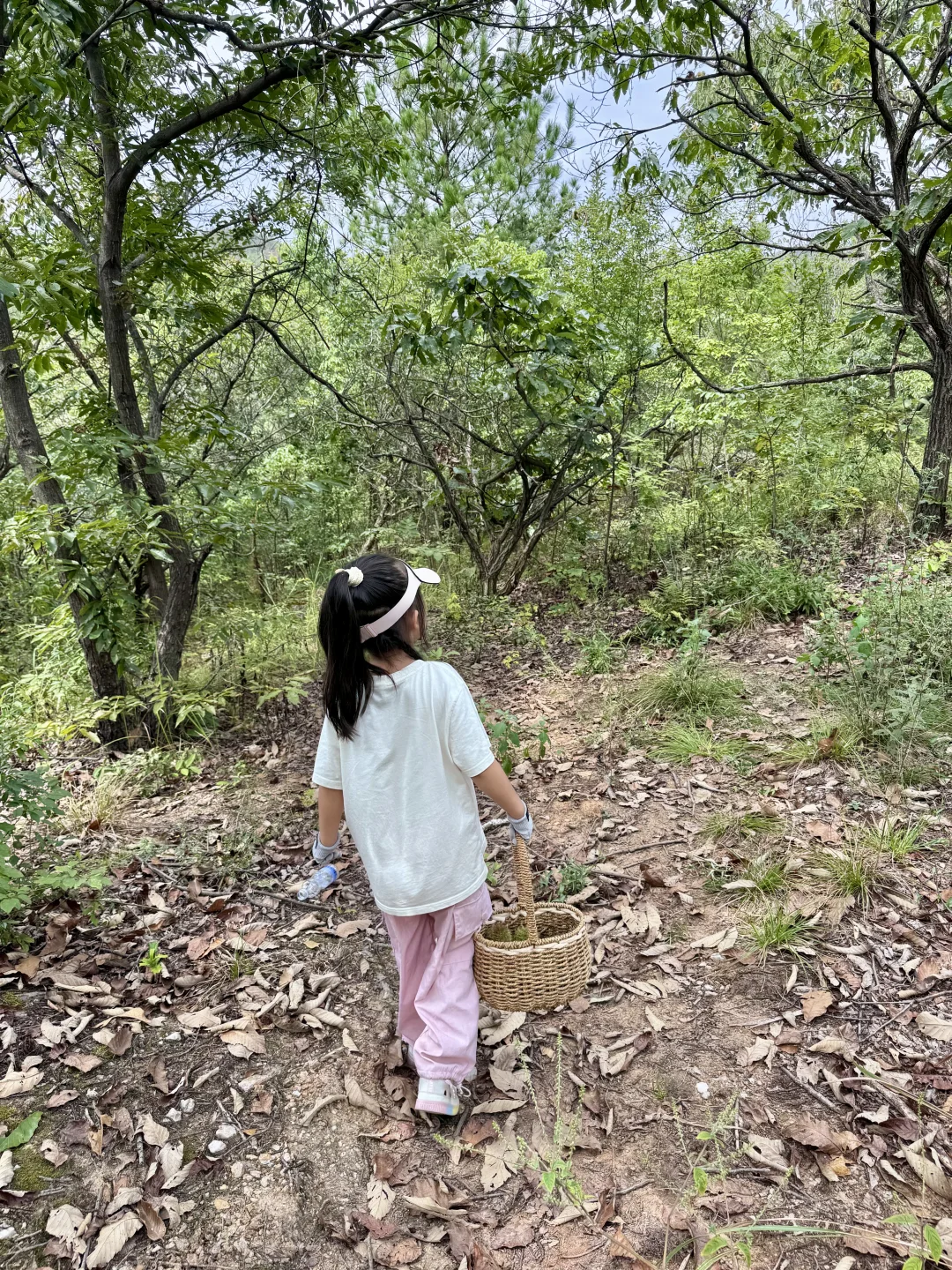 武汉🍃免费打板栗宝藏地❗娃玩疯啦