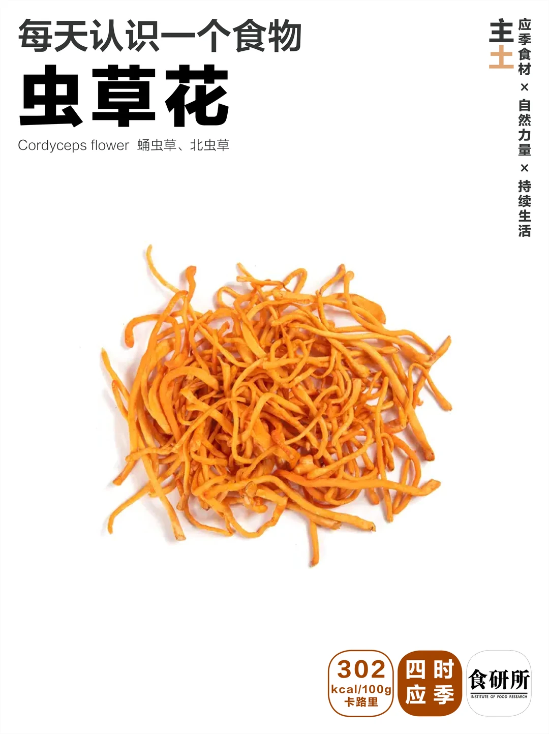 虫草花 | 秋冬来盘蒸鸡~