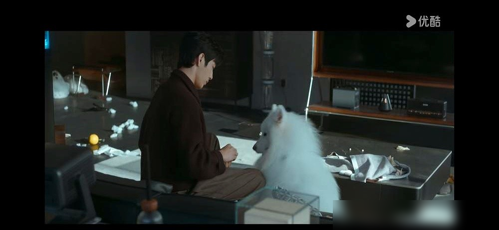 谁传的孔雪儿家萨摩耶去剧组演拆家戏了？
原来她现实里养的狗就叫卢克，名字是从她爱读的《早春晴朗》来的，刚好她演的剧里也有同名萨摩耶，网友直接脑补出真假卢克同框的戏码。
翻了所有公开信息，到今天都没找到叫卢克的动物演员接这个拆家戏份，也没片场花絮、训练记录流出来，全是网友凑的联动。
她平时忙工作