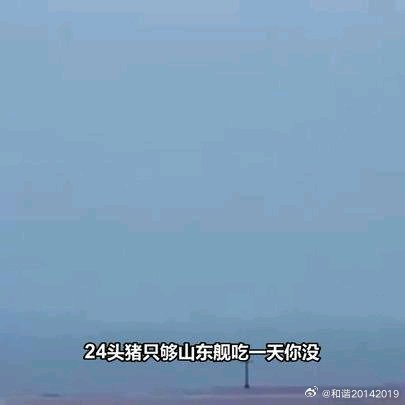 《24头猪，只够山东舰吃一天！》24头猪，只够山东舰吃一天！ ​