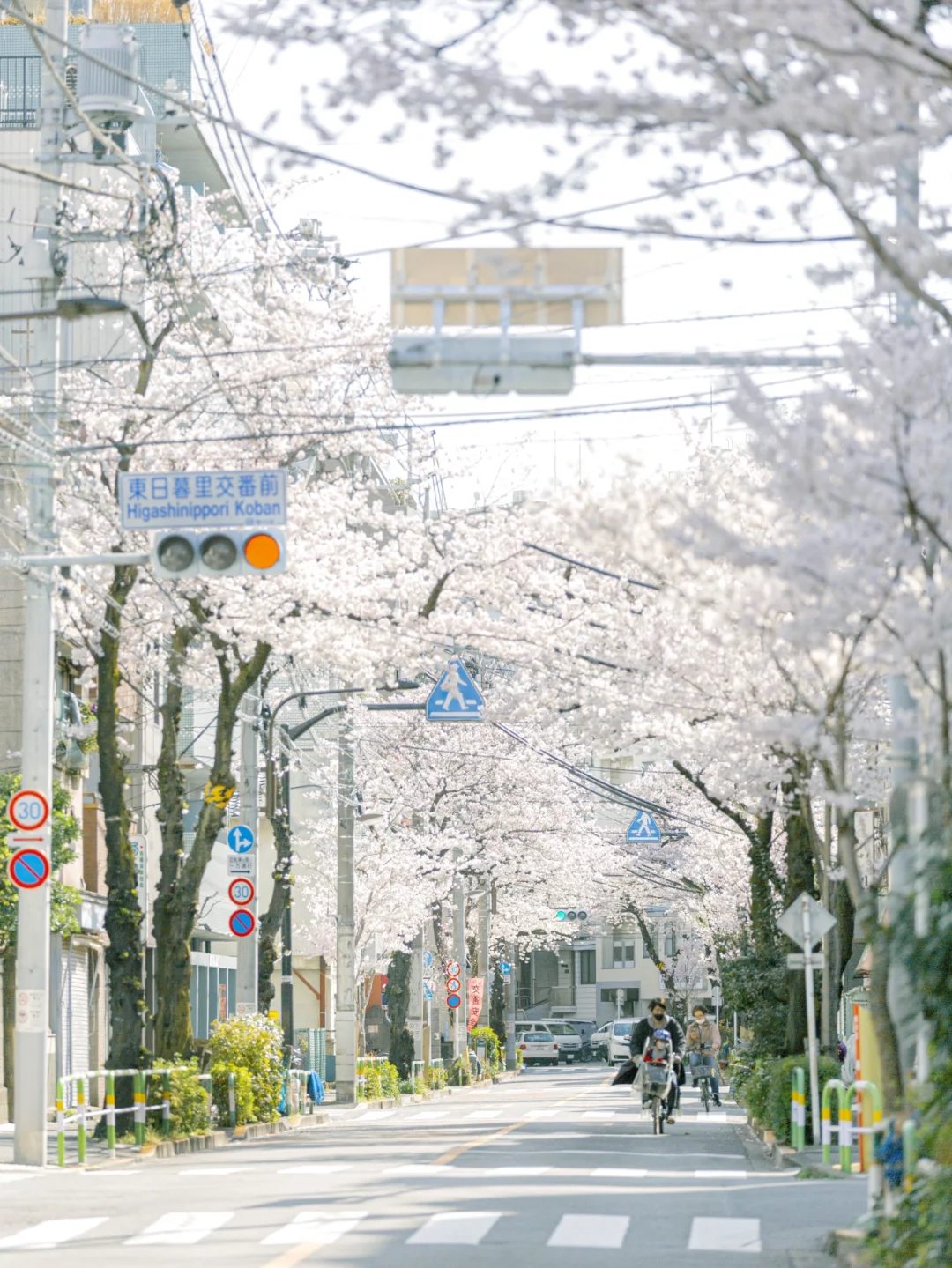 日本东京|触手可及的行走间的美好