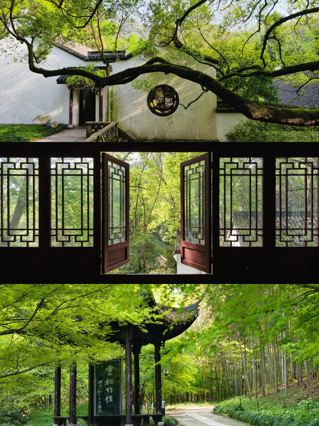 杭州｜建议能量低的人都走一下这条路线！🌳