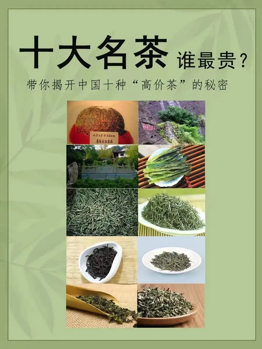 十大名茶，谁最贵？🍃