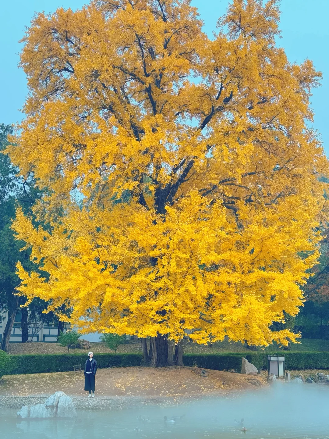 两张图感受一下北京大风的威力❗️