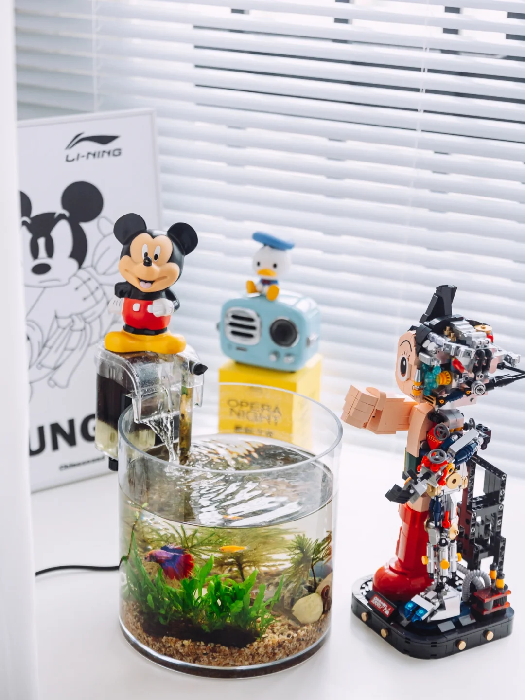 宅家日常｜鱼缸养鱼💰一百元的快乐