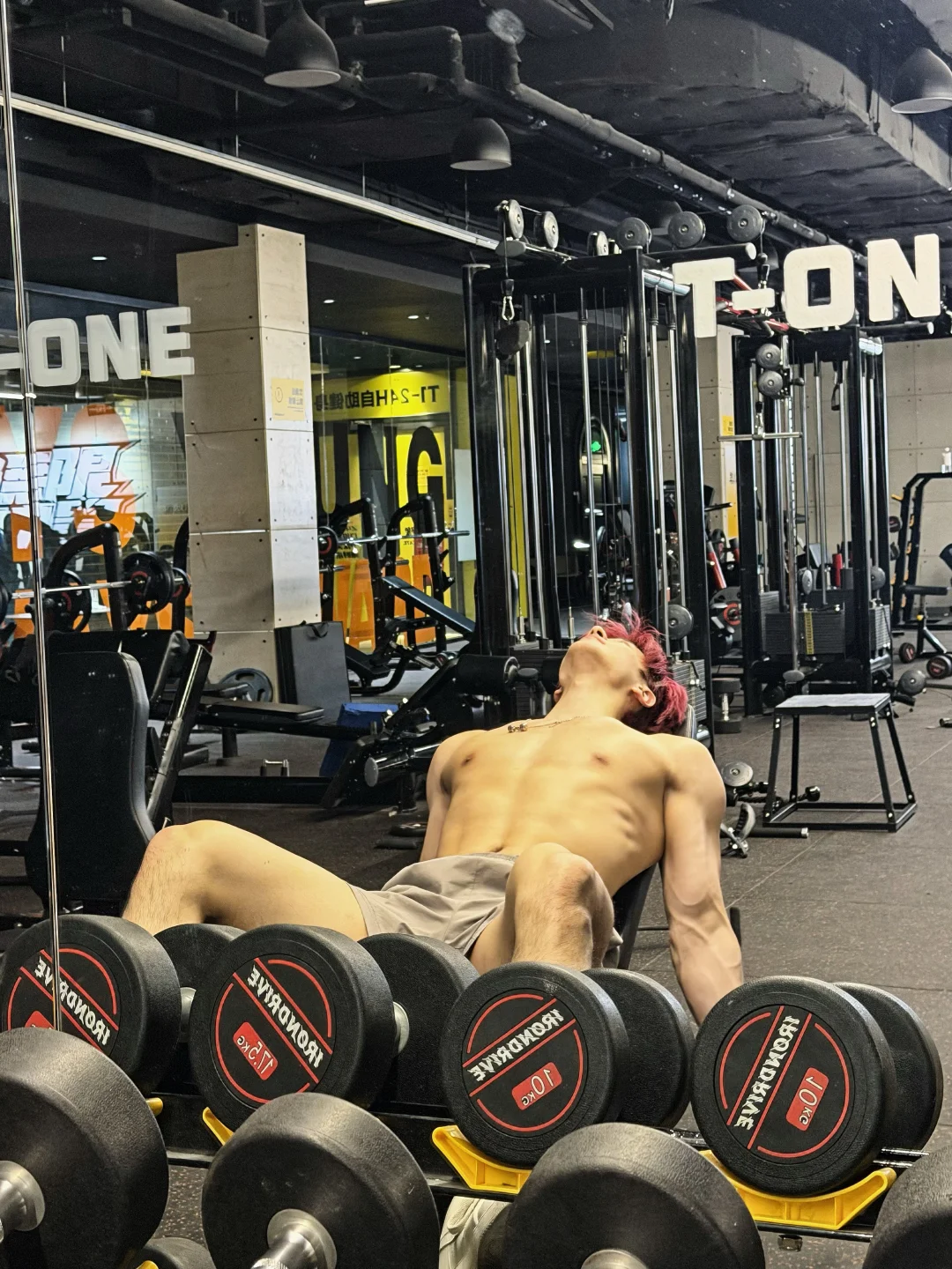 土象可能会喜欢🥹