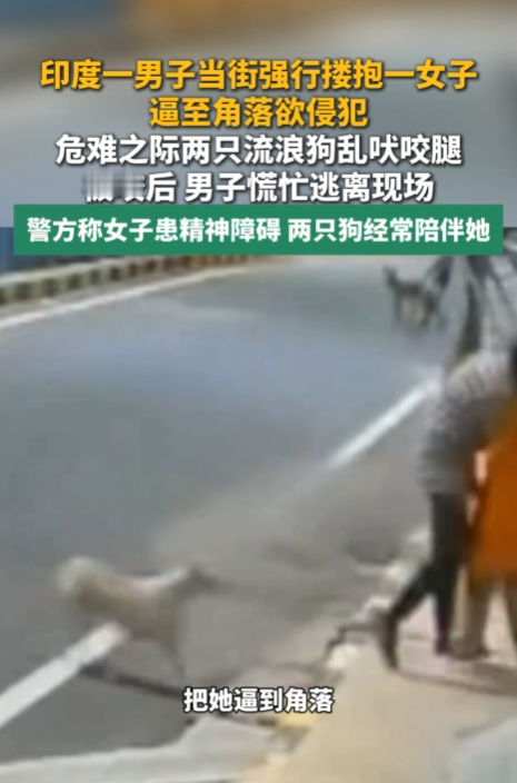 &34;大快人心！&34;9月5日报道，印度，一男子色欲熏心，他当街搂抱一名女子，并将她逼到角落，试图侵犯，就在这危急时刻，两只流浪狗挺身而出，它们不停狂吠，扑咬男子腿部，吓得他慌忙逃窜，狗狗还一路追赶！网友：活该！

监控画面里最扎心的一幕是这样的：一个男人把一名女子逼到墙角，动手施暴，女子挣扎呼救，周围没有