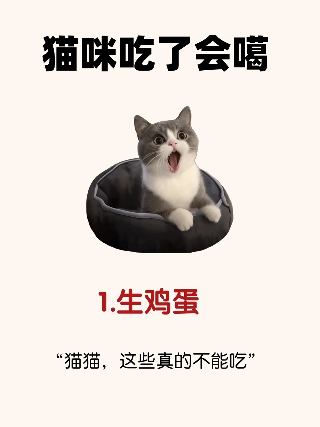 猫咪吃了这些食物会噶掉、养猫必看！