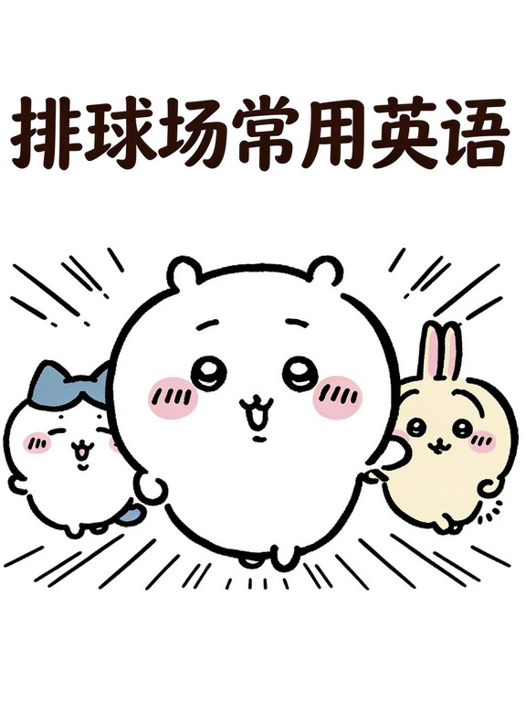 排球场上常用英语！