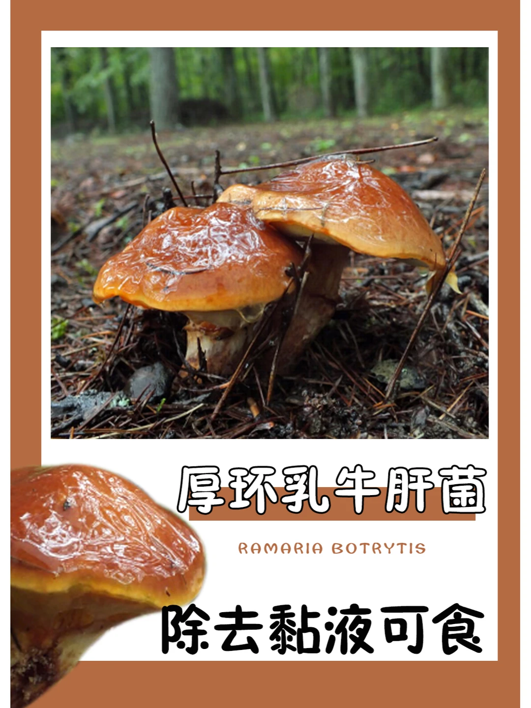 看见这些黏液，就不想吃了