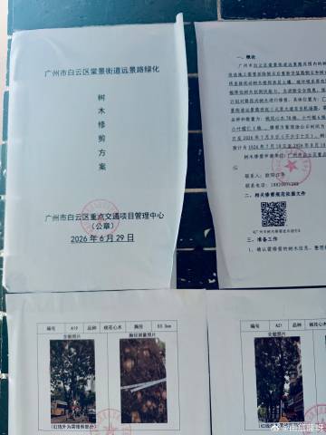 和朋友在广州的韩国街吃完饭闲逛，发现可爱的公示<br />广州的行道树...