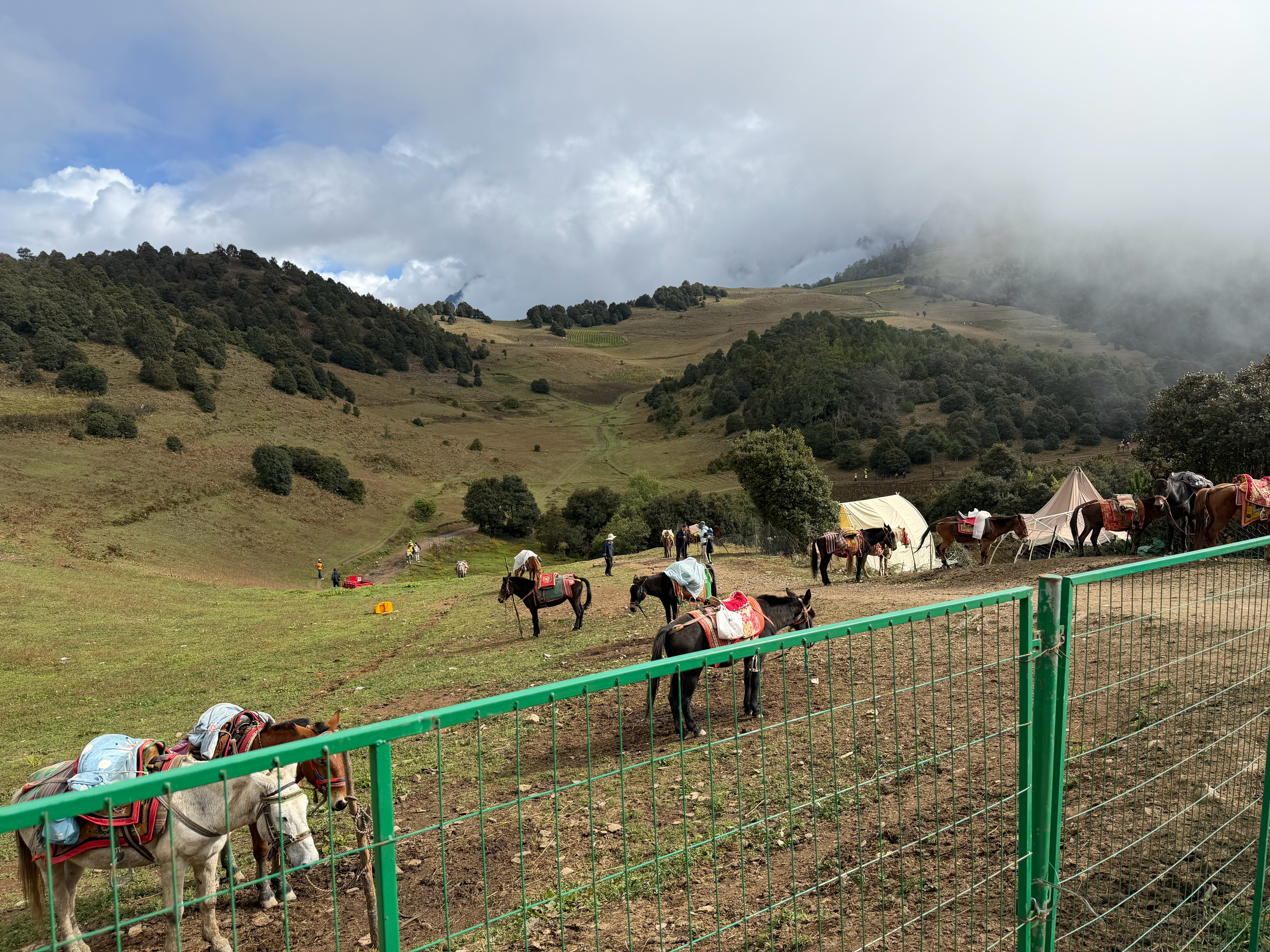 国庆走马灯第二弹之老药山⛰️
最秋天的一集 最金色童话的一集 最小瑞士的一集 最牛来的一集（啃面包的时候一抬头发现一头牛正向我走来...被向导姐赶走了🙏🏻谢谢你向导姐）
也是我云南徒步中最喜欢的一集 手机拍不出来的美 像走进了异次元秘境里面一样🙊🙊🙊
有不久前麦理浩径的大拉练和前 ​