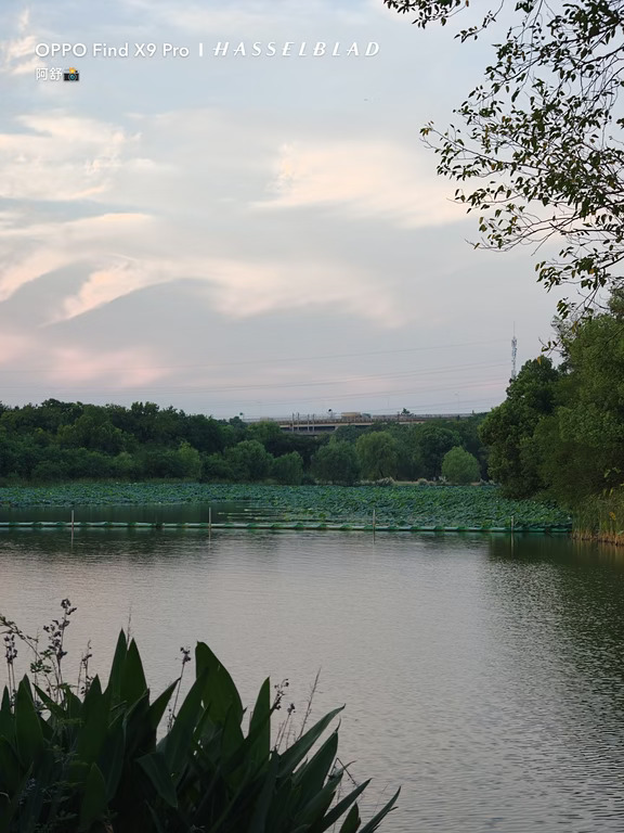 傍晚的湖边