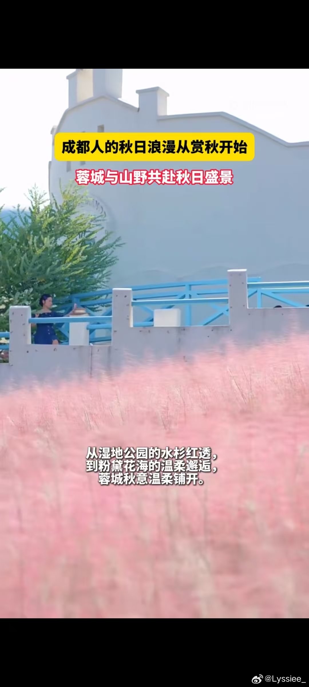#成都人的秋日浪漫从赏秋开始# 秋风拂过蓉城，赏秋模式正式开启，近郊粉黛花海特别出片，古寺银杏自带古韵，很多市民都出门漫步打卡，认真留住秋天的美好瞬间。 ​
