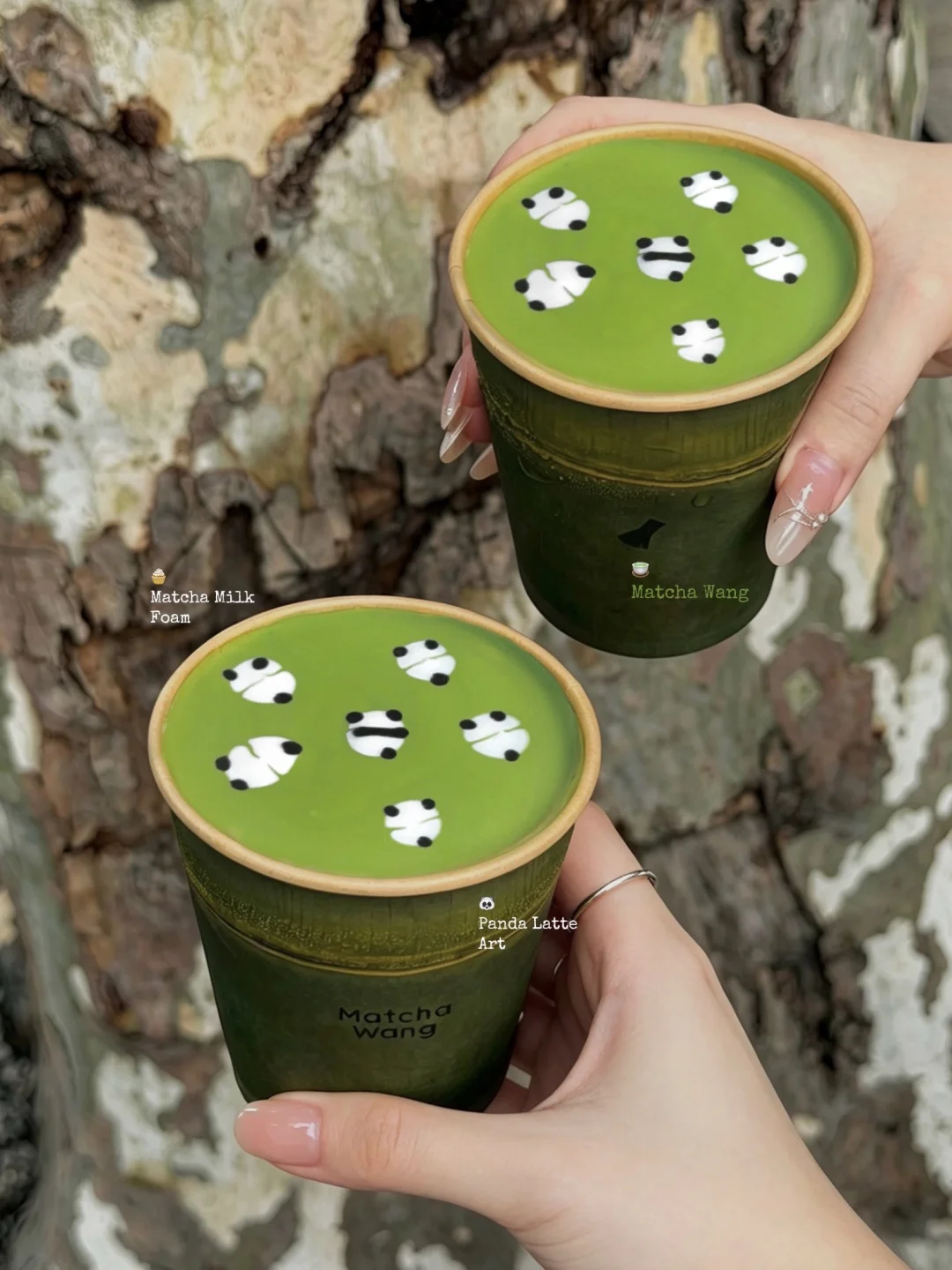 真正上海落地签！🔖Matcha Wang抹竹🐼熊猫！