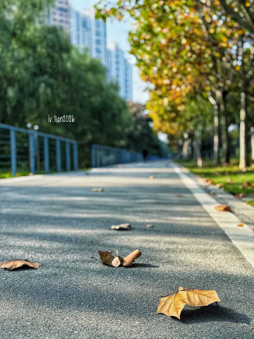 不要用力走向任何人