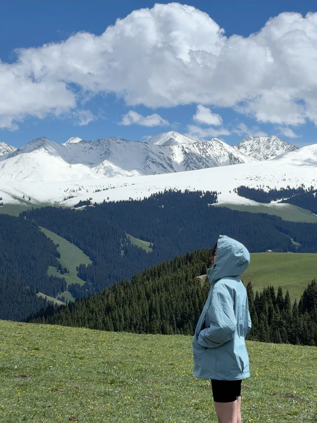 五月的喀拉峻，走进windows桌面🏔️