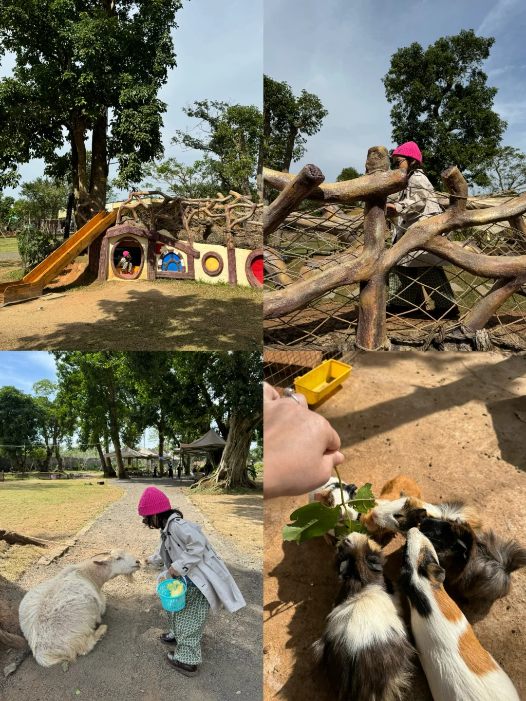 海口遛娃｜好玩，好拍，好喂的时髦农场。