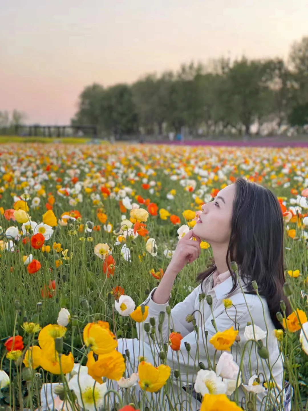 赏花攻略🌸接下来的北京你意想不到的美‼️