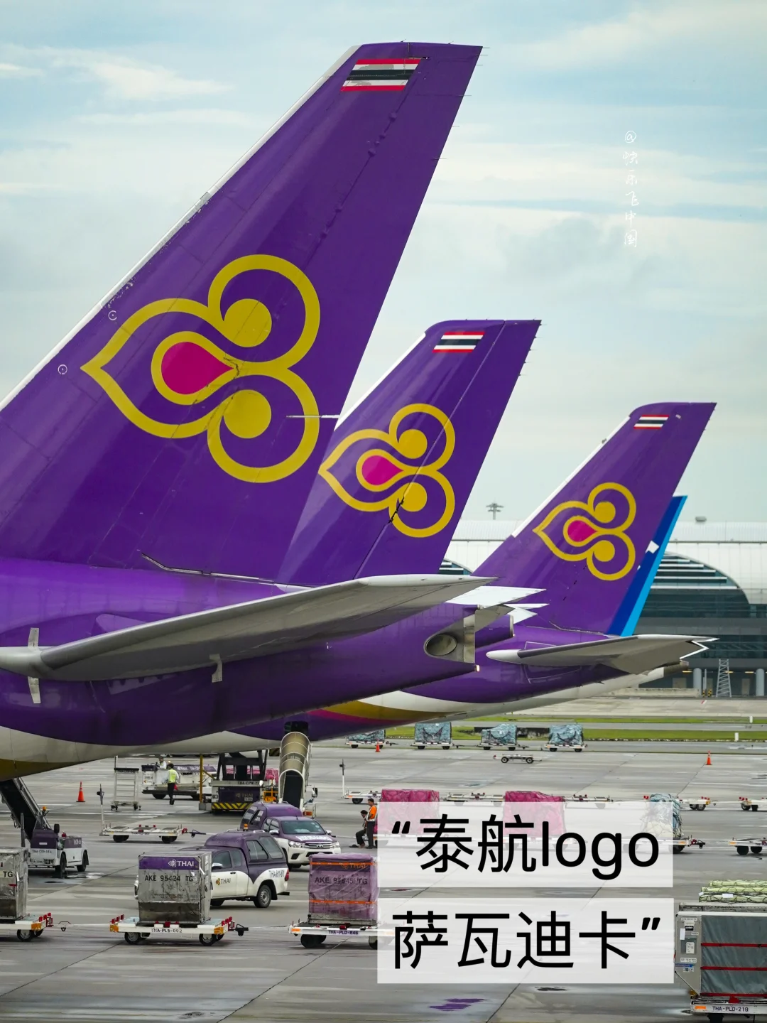 泰航logo，原来是「萨瓦迪卡」的意思啊❓