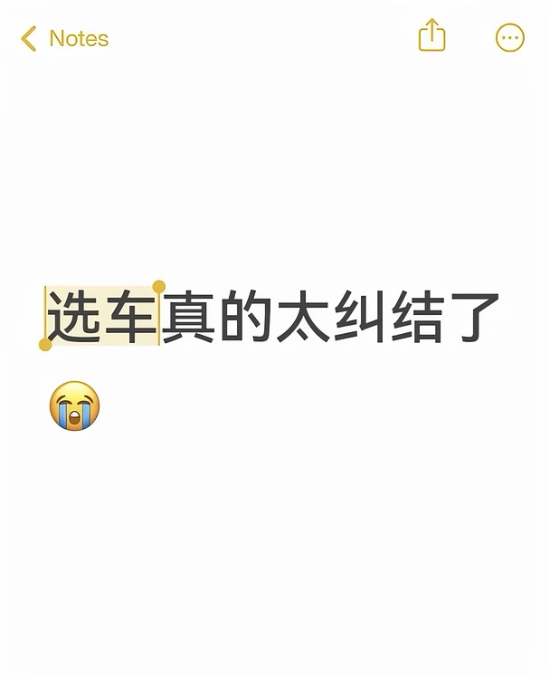 选车真的太纠结了、大家买车都纠结什么？
