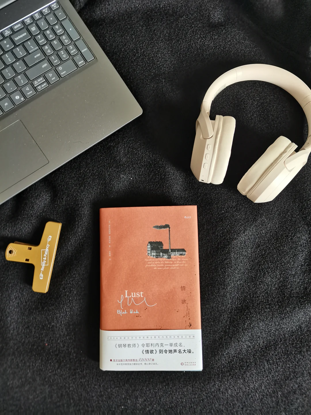 俺不中了，这书看得生理不适……