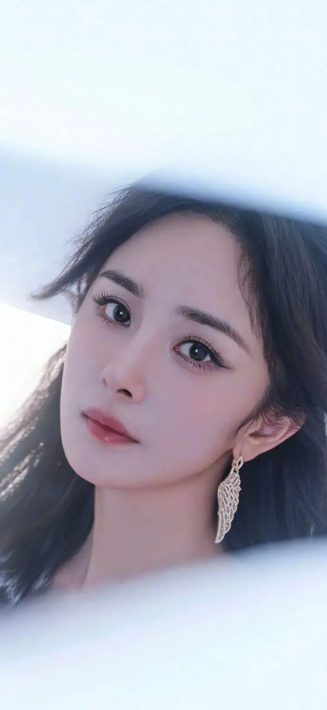 大美女，杨幂【21】