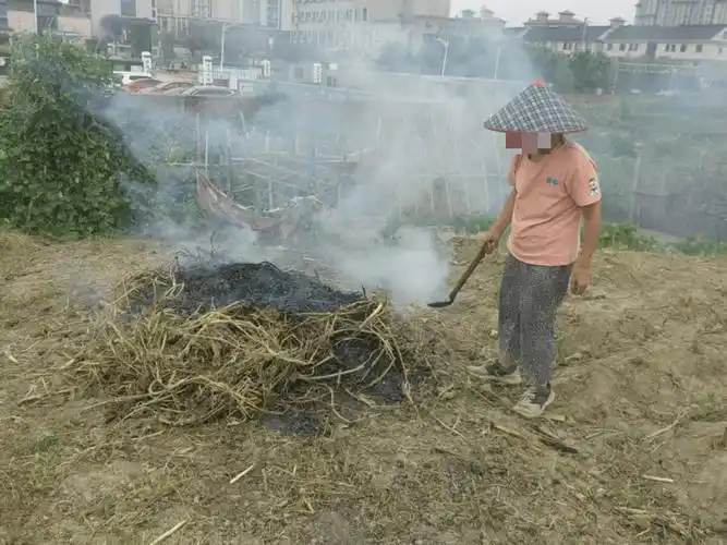 离谱争议！自家地烧1平米杂草，被要求罚款500元，全网吵翻了
 
近期河南一桩田间小事，直接引爆全网争议。无数网友看完全程，直呼实在难以理解。
 
当地一位农村大姐打理自家菜地。为清理田间杂乱荒草。随手点燃一小块杂草堆。过火面积仅仅一平方米。也就一张小桌子大小的范围。没有连片起火。没有蔓延周边作物。