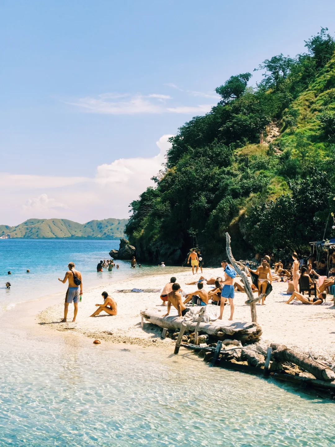 “𝓢𝓾𝓶𝓶𝓮𝓻 𝓞𝓬𝓮𝓪𝓷”