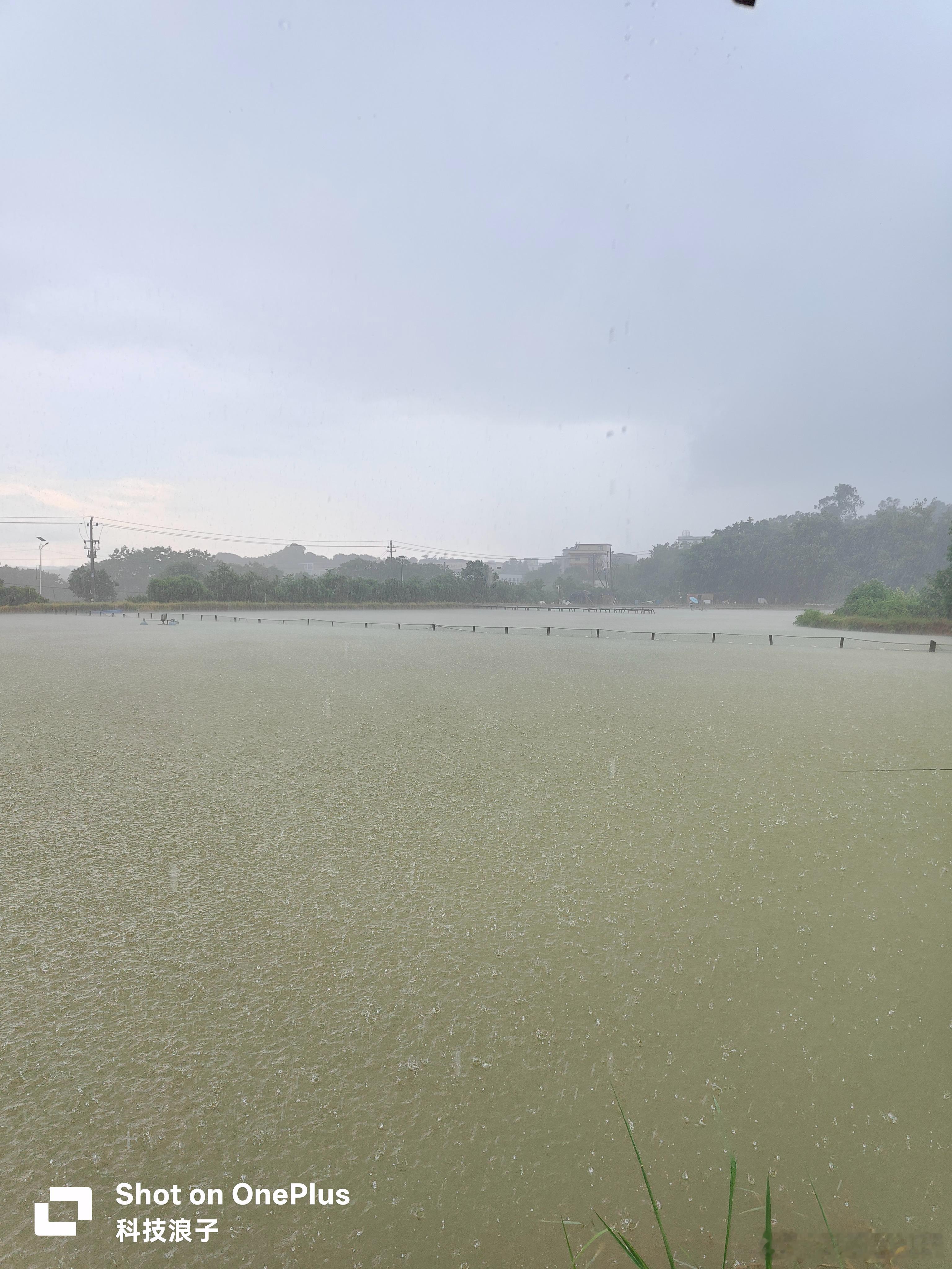 好久没钓鱼了，今天暴风雨淋湿了都，还好鱼获很客观，吃不完根本吃不完。  ​​​
