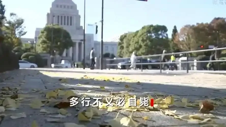 突发！12 条中日航线全停飞，覆盖春节高峰