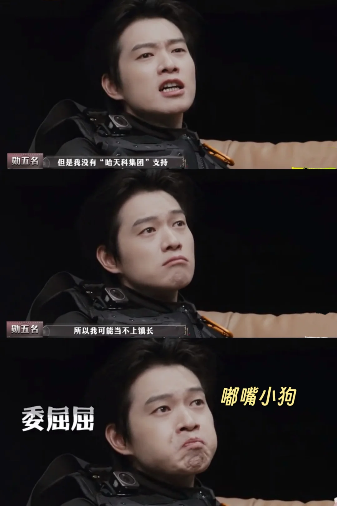 小狗想当镇长就让他当呗！