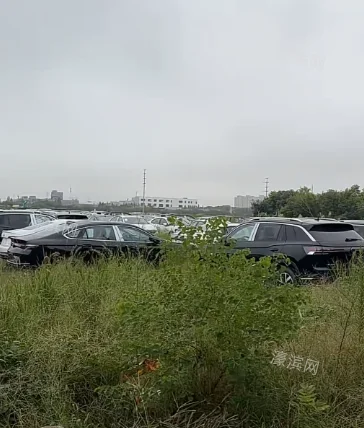 等生锈？南通有大量“无牌”车停在草丛里...