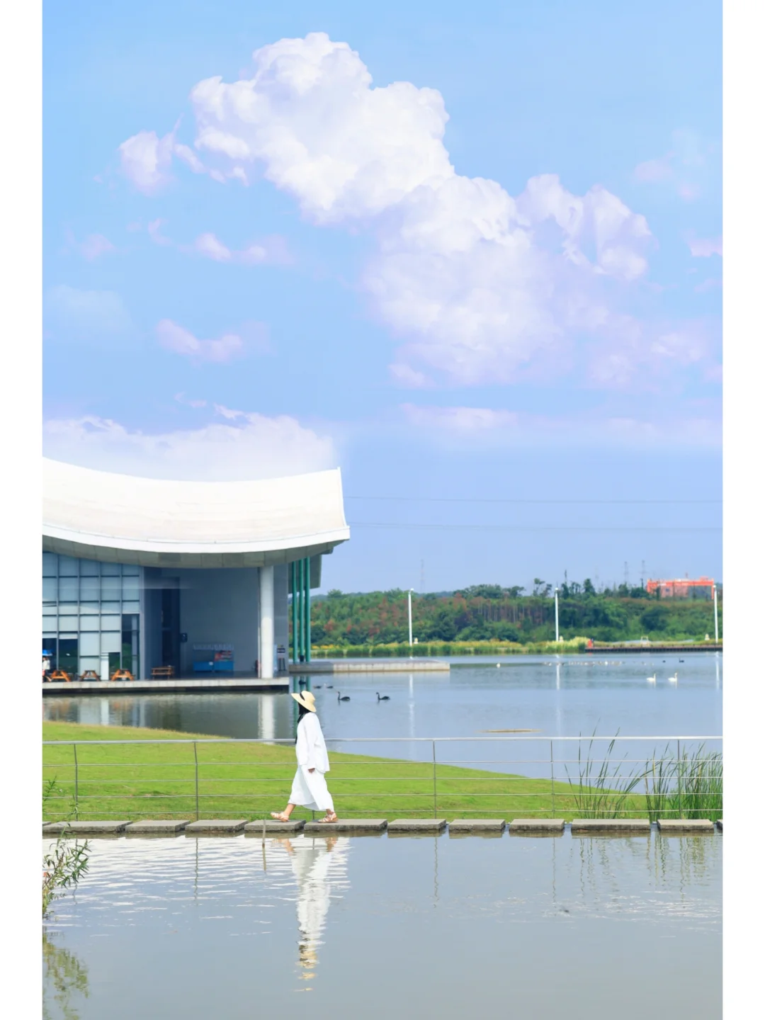 后悔才来❗️武汉周边1H仙鹤公园/人少免费