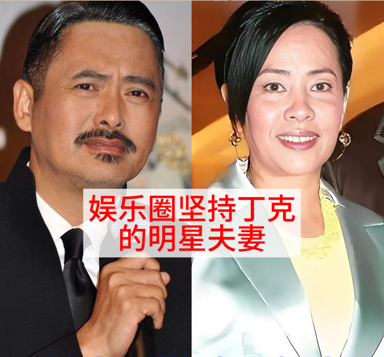 不少知名明星夫妻选择丁克，不生育子女。周润发和陈荟莲相守38年，刘青云与郭蔼明相伴28年。冯小刚徐帆、张卫健张茜、梁朝伟刘嘉玲等，也都没有孩子。他们看淡传宗接代，只想把日子过成自己喜欢的模样，安安稳稳相伴一生。