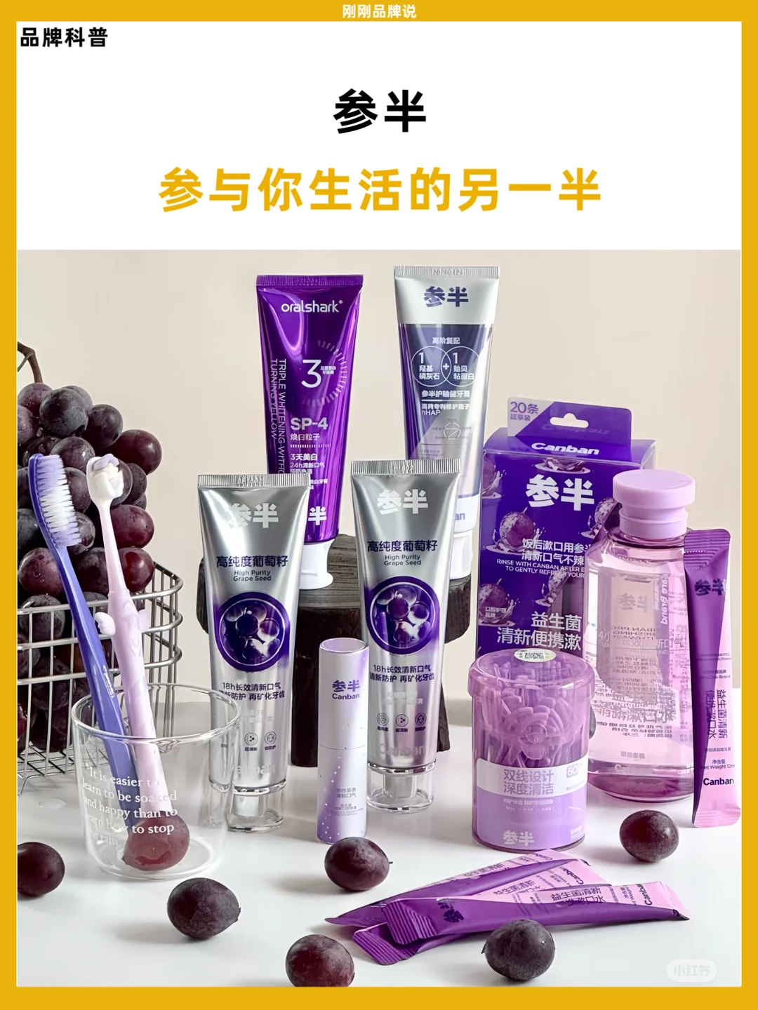 参半：参与你生活的另一半