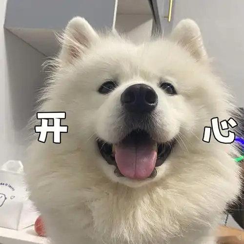 #网友称狗腿付才是真接地气# .畅想下未来的付款方式真的很有意思，希望AI可以读懂我的想法，心里想好要买什么，智能设备就帮我搞定采购结算，不用自己动手操作#支付宝辟谣狗腿付# ​