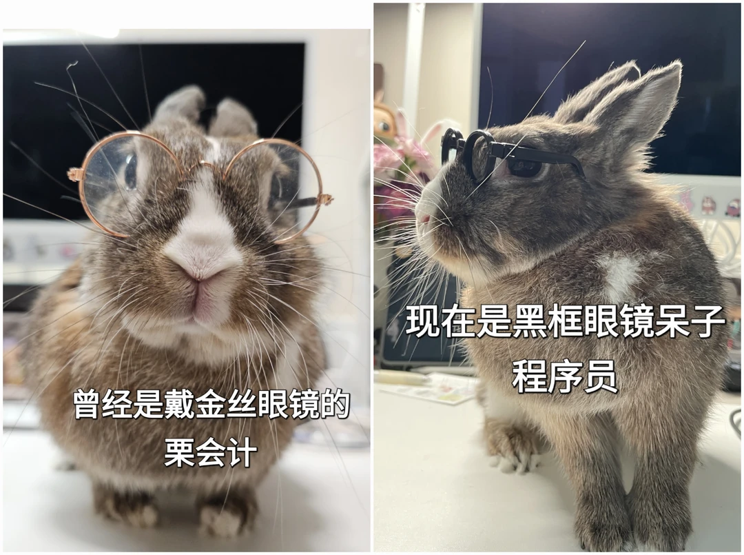 70岁栗会计再就业