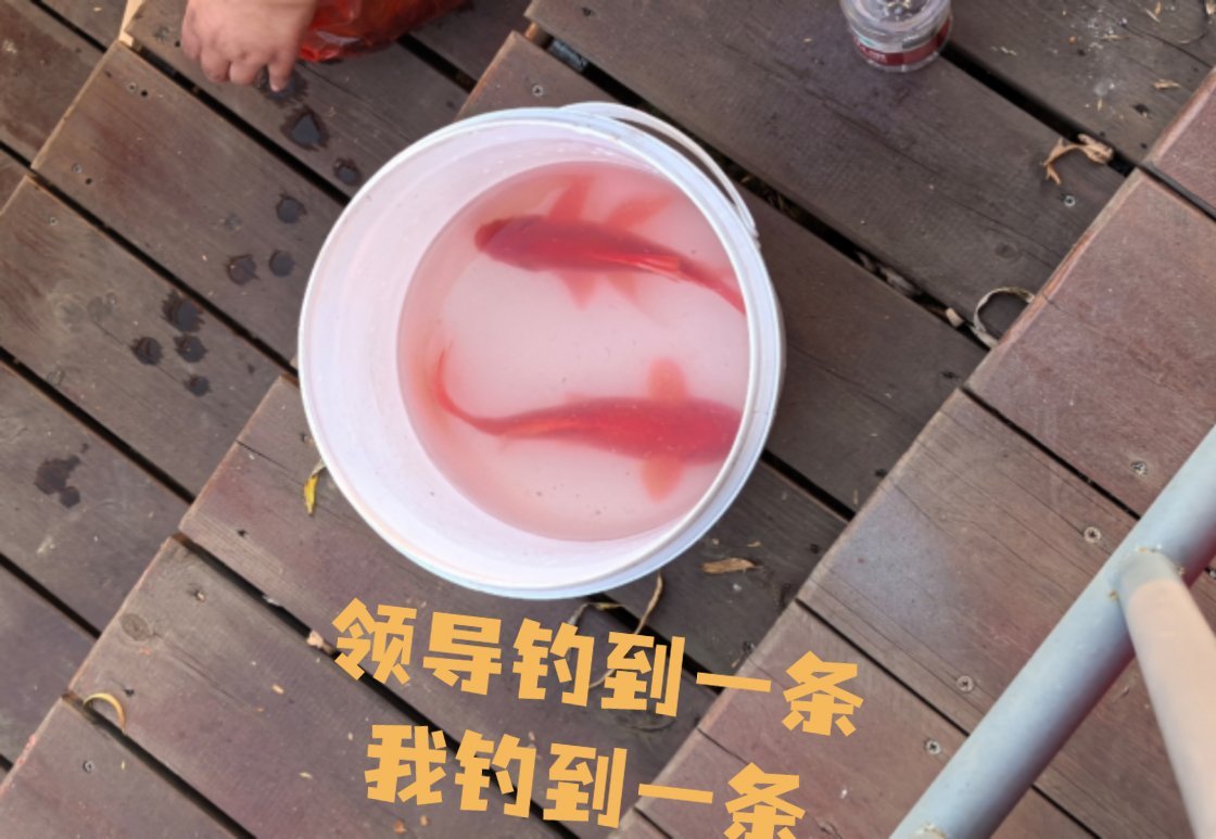 团建
当得知团建的消息焦虑了好几天，幻想着会不会跟前单位一样，领导每次提杯非要说点啥，劝人喝酒，还有烦人的敬酒词环节！！！每个人轮着提杯说敬酒词，说一些溜须拍马的话，都要把豆包搜爆了：“感谢领导感谢团队…”，翻来覆去每个人每次团建都那么几个词。
但是今天！！！没有聊工作！没有劝酒！ ​