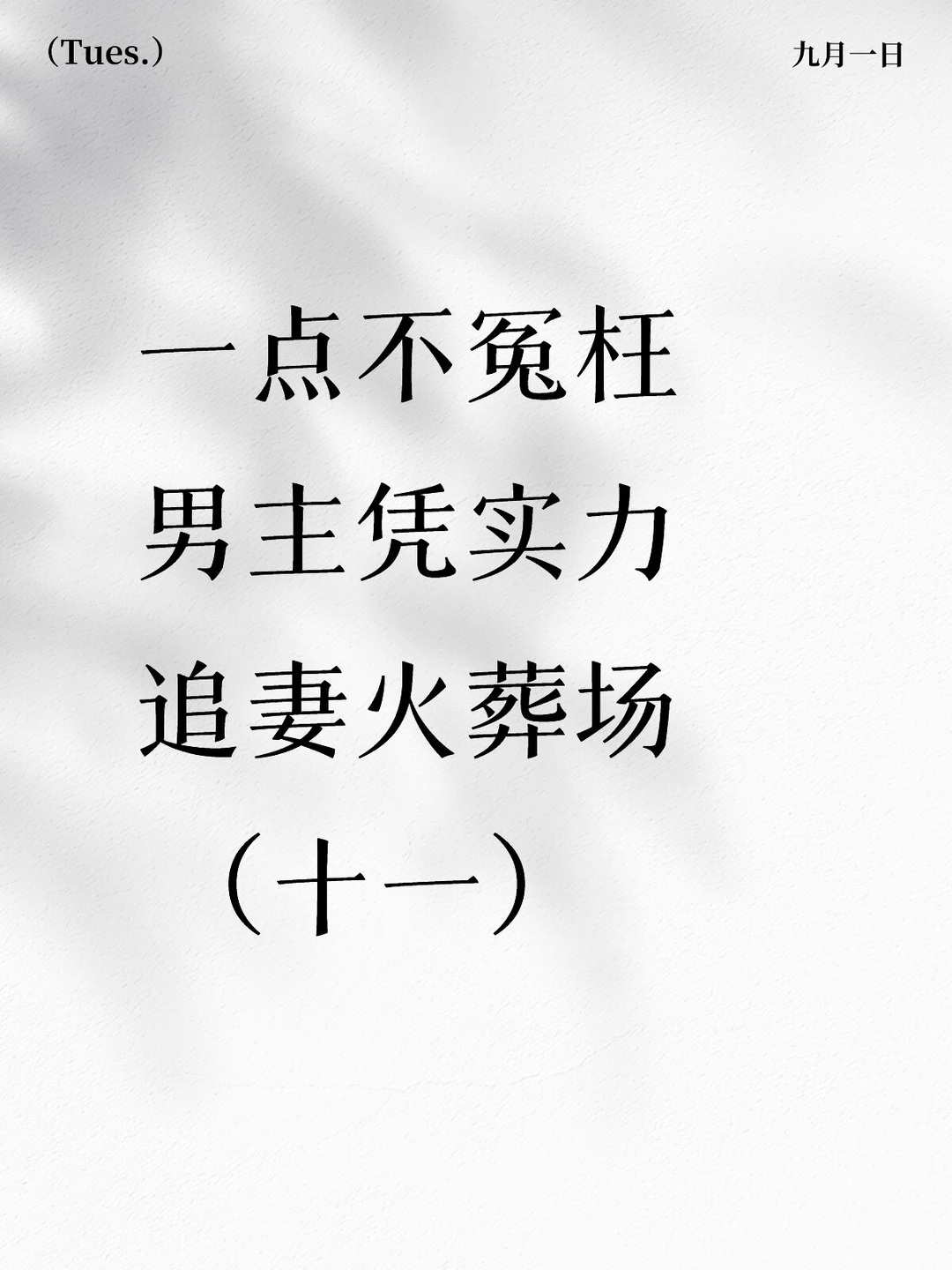 女主洒脱转身 男主追妻火葬场的小说