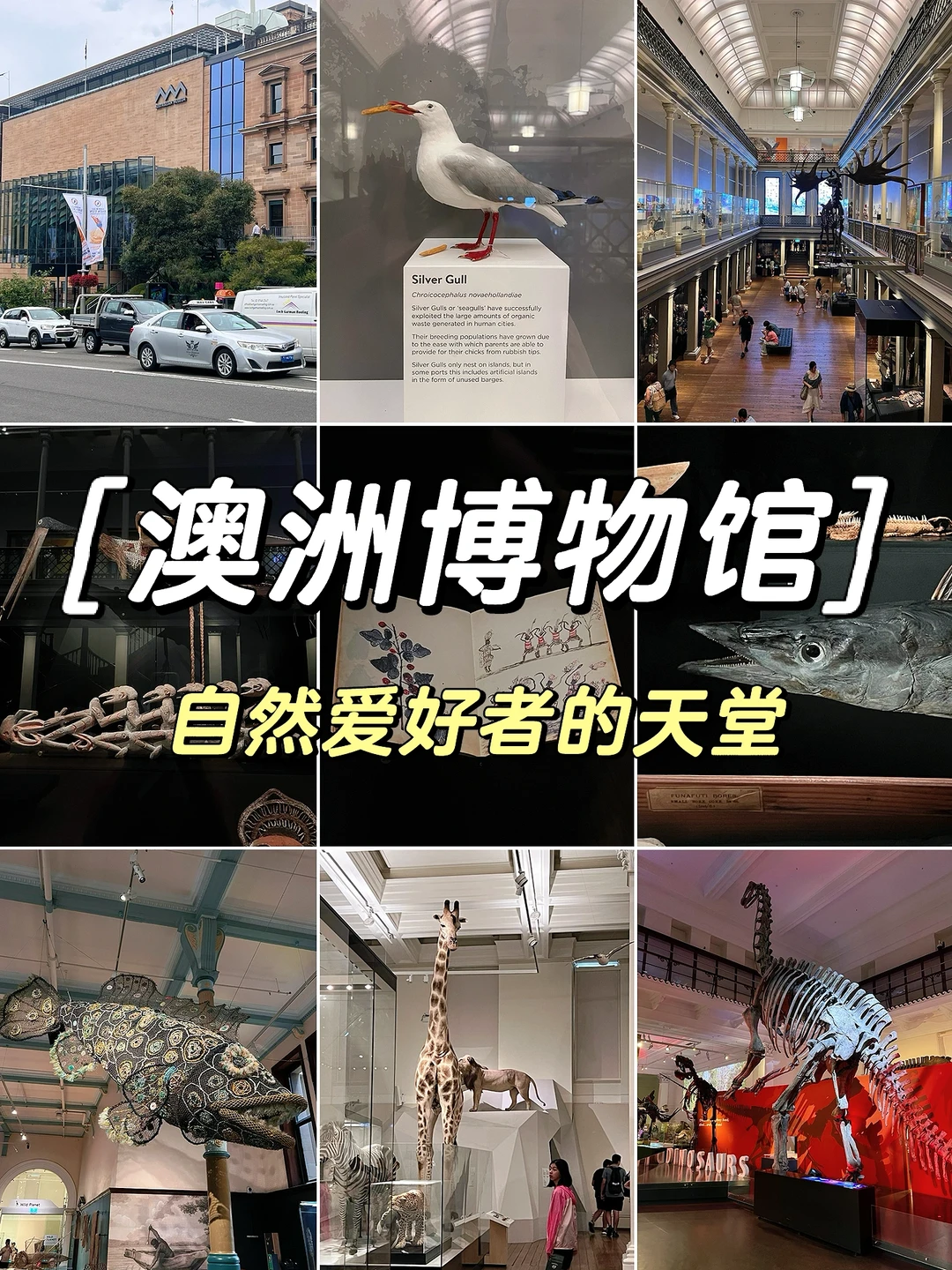 悉尼｜🇦🇺参观澳大利亚博物馆的一些tips✔️