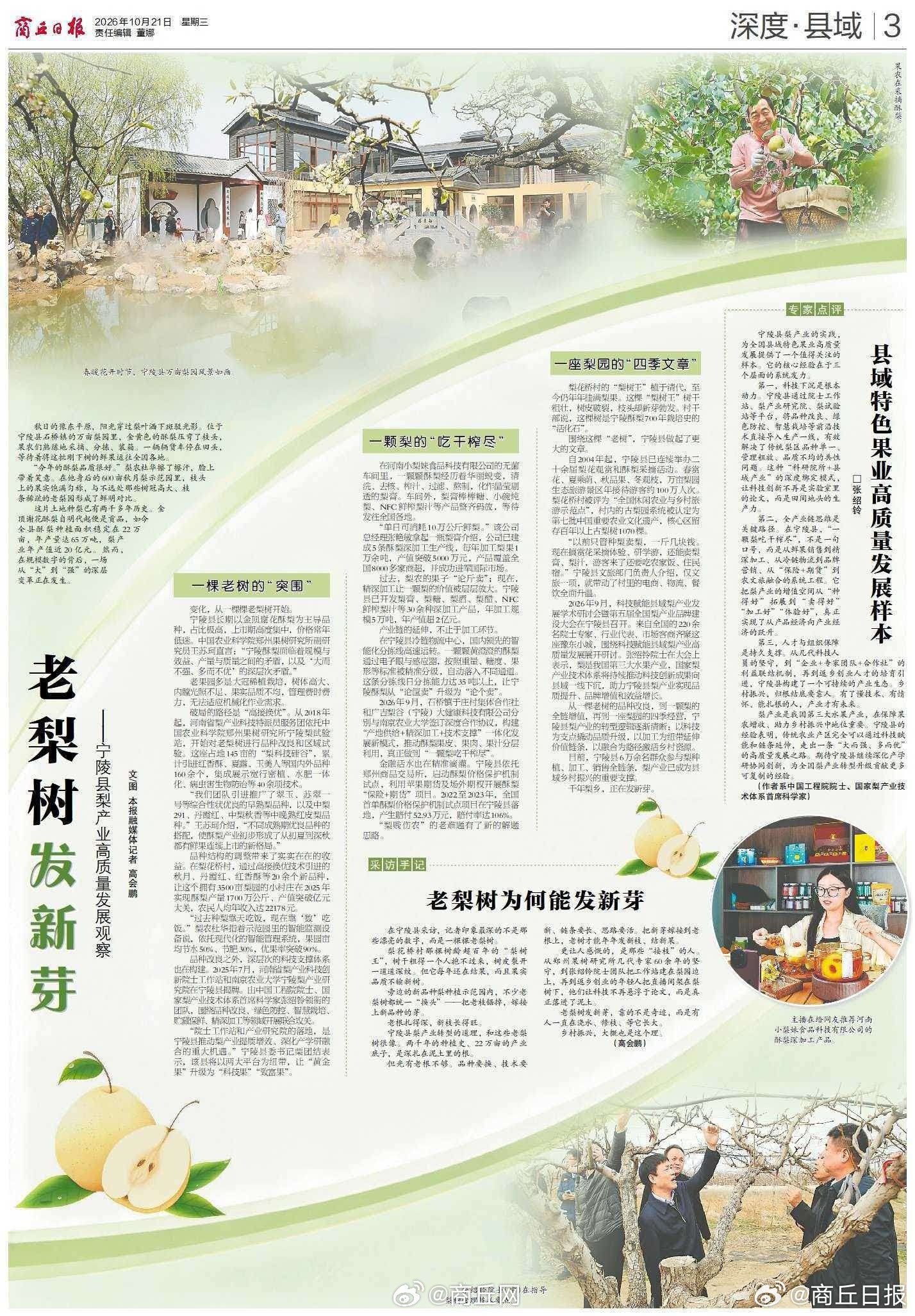#宁陵老梨树发新芽# 【专家点评 | 县域特色果业高质量发展样本】
宁陵县梨产业的实践，为全国县域特色果业高质量发展提供了一个值得关注的样本。它的核心经验在于三个层面的系统发力。

　　第一，科技下沉是根本动力。宁陵县通过院士工作站、梨产业研究院、梨试验站等平台，将品种改良、绿色防控、智 ​