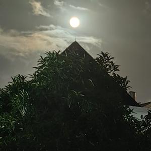 狗大户是小财主