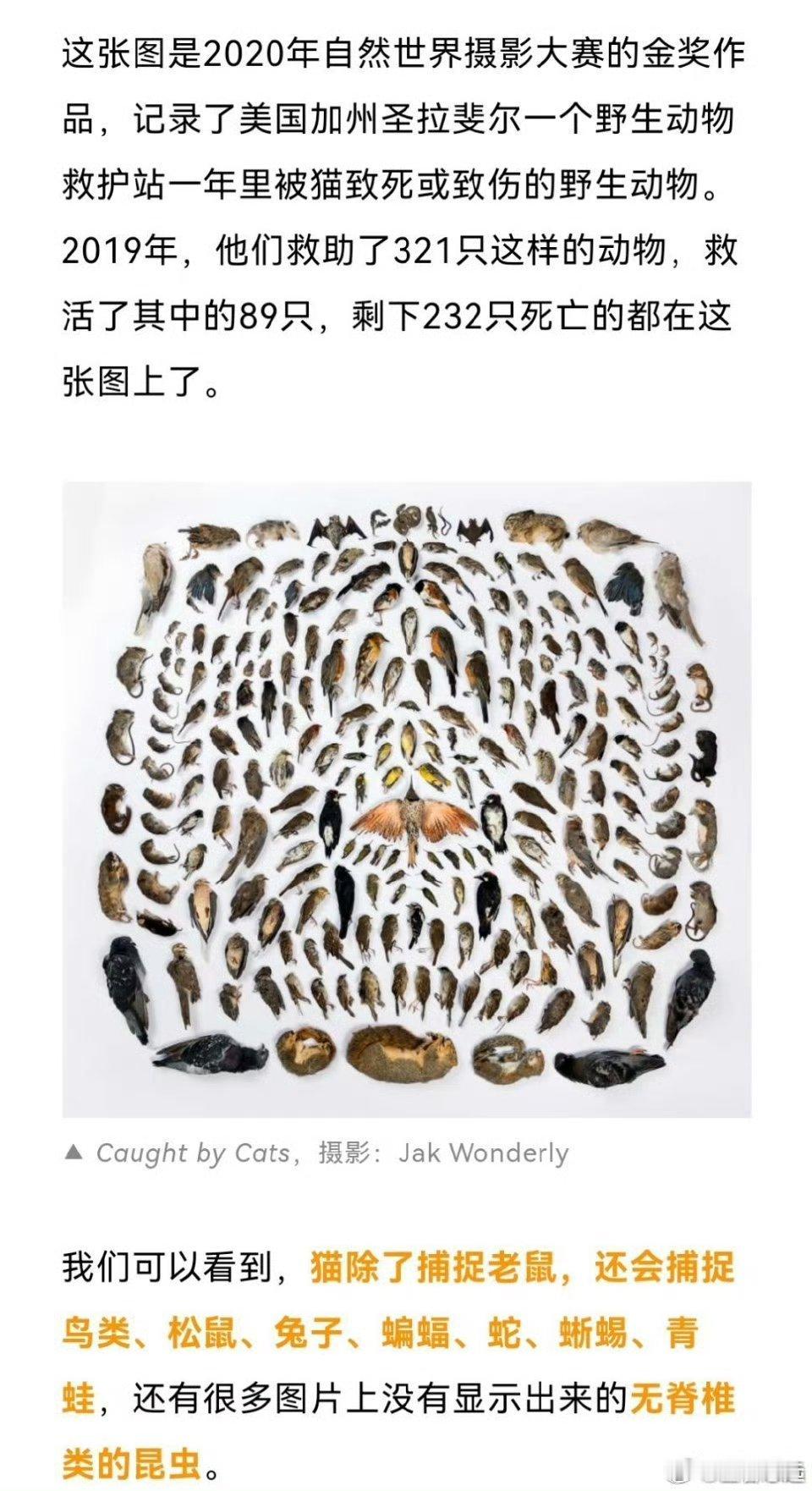 英国皇家鸟类保护协会的一项研究表明，英国境内的猫每年能捕杀约2700万...