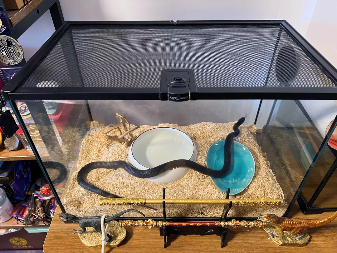 我把躲藏屋给拿掉了，看起来也无碍！