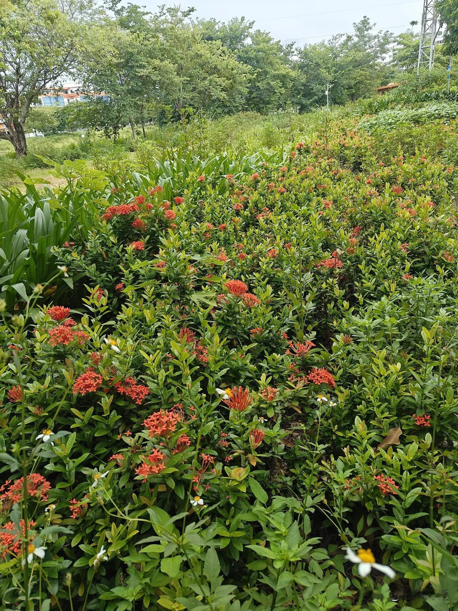 分开， 不算结束， 只能算冷静期， 空窗期， 复合的可能性很大， 即使...