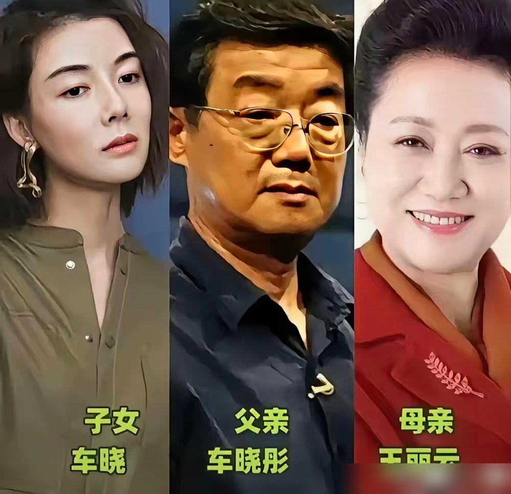 陈飞宇背着60亿票房，观众愣是想不起他演过谁。
《将夜》砸了那么多钱，群星堆砌，结果大家只记得春风亭那场雨。《点燃我温暖你》热度全在张婧仪身上，他像个镶边的。《最好的我们》更尴尬，昊然弟弟的余淮珠玉在前，他连跟风都不占便宜。
张思乐更典型，觉醒年代演柳眉被骂到退圈，现在跑去中戏当老师教表演。邹元