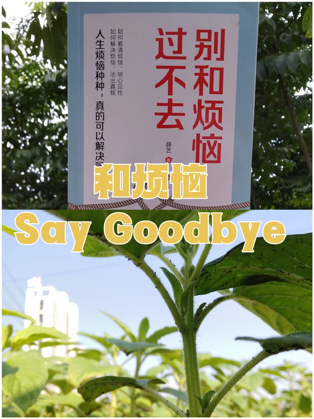 怎么和烦恼Say Goodbye
